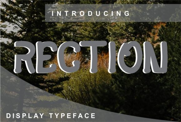 Rection Free Download: A Premium Display Font Review